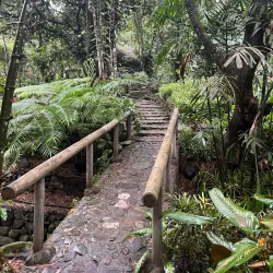 Pinto Nature Park - Antipolo