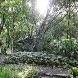 Pinto Nature Park - Antipolo