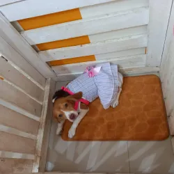 Bacoor Baywalk - Bacoor