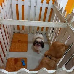 Bacoor Baywalk - Bacoor