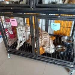 Bacoor Baywalk - Bacoor