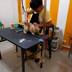 Bacoor Baywalk - Bacoor