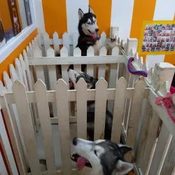 Bacoor Baywalk - Bacoor