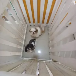 Bacoor Baywalk - Bacoor