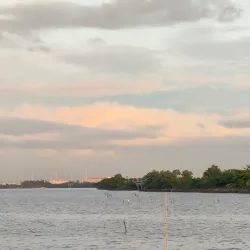 Bacoor River Park - Bacoor