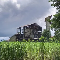 Bago City Public Market - Bago