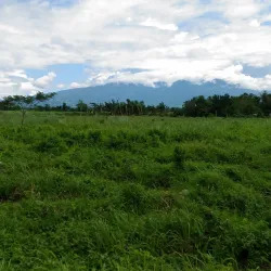 Bago City Public Market - Bago