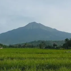 Bago City Public Market - Bago