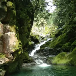 Mount Kanlaon National Park (near Bago) - Bago