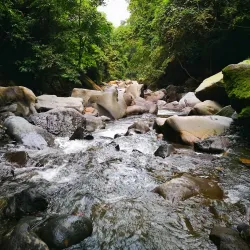 Mount Kanlaon National Park (near Bago) - Bago