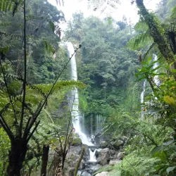 Mount Kanlaon National Park (near Bago) - Bago
