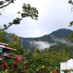 Mount Kanlaon National Park (near Bago) - Bago