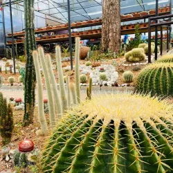 Baguio Botanical Garden - Baguio