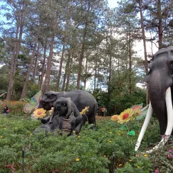 Baguio Botanical Garden - Baguio