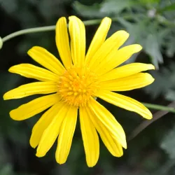 Burnham Park - Baguio