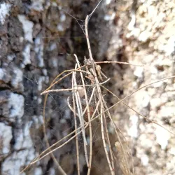 Camp John Hay - Baguio