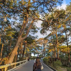 Camp John Hay - Baguio