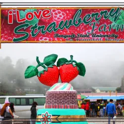 La Trinidad Strawberry Farm - Baguio