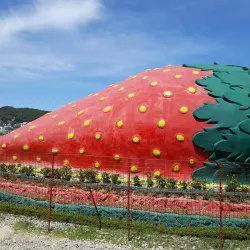 La Trinidad Strawberry Farm - Baguio