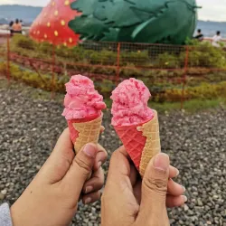 La Trinidad Strawberry Farm - Baguio
