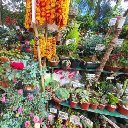 Mines View Park - Baguio