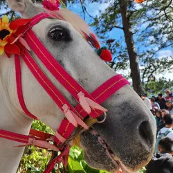 Mines View Park - Baguio