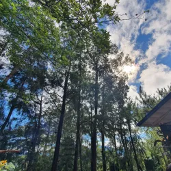 Mines View Park - Baguio