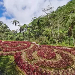 Mount Costa - Baguio