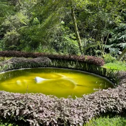 Mount Costa - Baguio