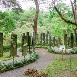 Mount Costa - Baguio