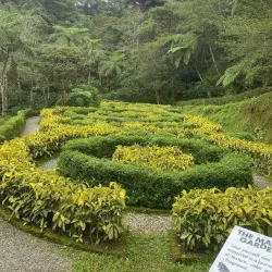 Mount Costa - Baguio