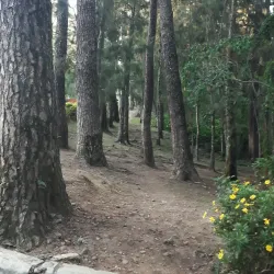 The Mansion - Baguio