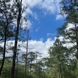 Wright Park - Baguio