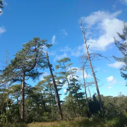 Wright Park - Baguio