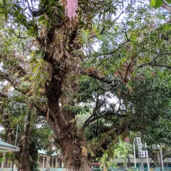 Bataan World War II Museum - Bataan