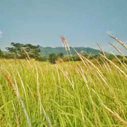 Dunsulan Falls - Bataan