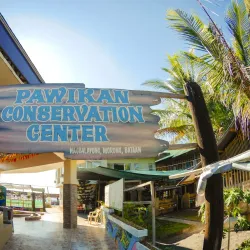 Pawikan Conservation Center - Bataan