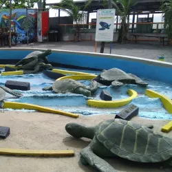 Pawikan Conservation Center - Bataan