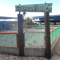 Pawikan Conservation Center - Bataan