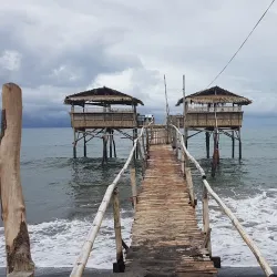 Pawikan Conservation Center - Bataan