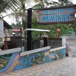 Pawikan Conservation Center - Bataan