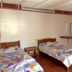 Anilao Diving Spots - Batangas