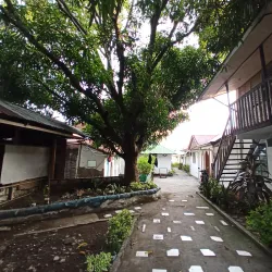 Anilao Diving Spots - Batangas