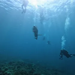 Anilao Diving Spots - Batangas