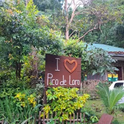 Pico de Loro Mountain - Batangas