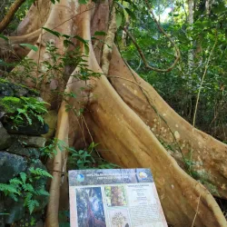 Pico de Loro Mountain - Batangas