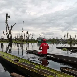 Agusan Marsh Wildlife Sanctuary - Bislig City