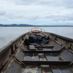Agusan Marsh Wildlife Sanctuary - Bislig City