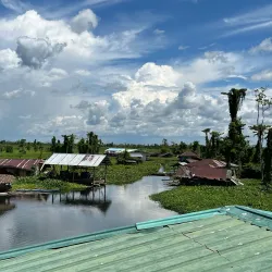 Agusan Marsh Wildlife Sanctuary - Bislig City