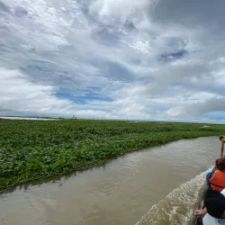 Agusan Marsh Wildlife Sanctuary - Bislig City